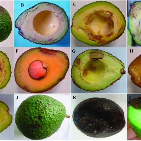 Symptoms Associated With Postharvest Disorders In Avocado Cv Hass A