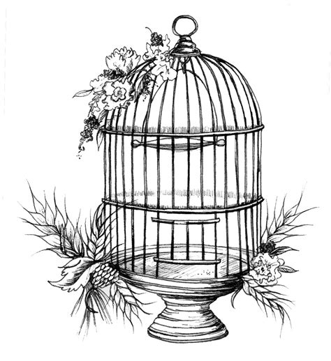 Https://wstravely.com/draw/how To Draw A Bird Cage In Illustrator
