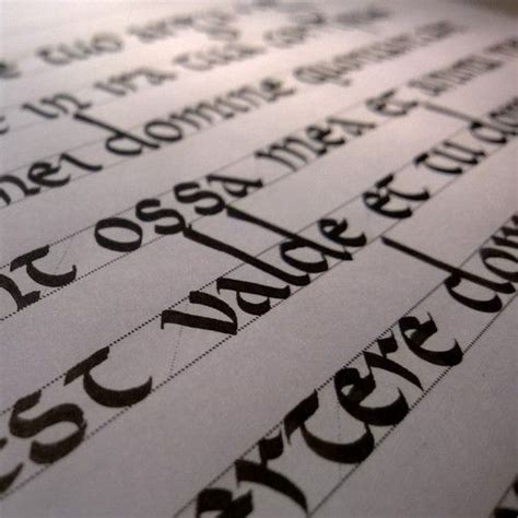 Calligrapher carolingian minuscule font is one of the calligraphic group of fonts called 21 alphabets for calligraphers.all graphemes are taken from calligraphic pages written in traditional carolingian. carolingian / minuscule | Carolingian, Calligraphy ...