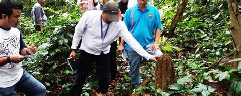 Penemuan Batu Nisan Belimbing Tunggal Nusantara Malaysiaaktif
