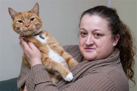 Real Life Cat Burglar Cheeky Pet Leaves Owner Red Faced After