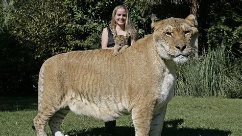 24 Insanely Huge Animals Wtf Gallery Ebaums World