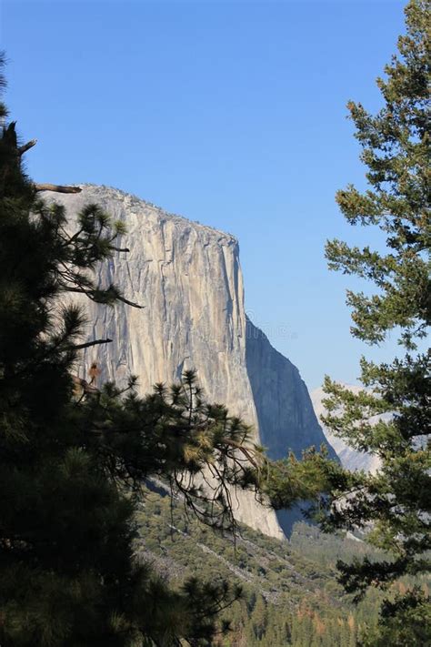 El Capitan Cliff Yosemite National Park Stock Photo Image Of Capitan