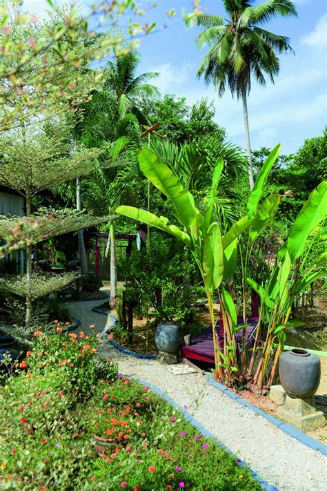 Diy.hobi berkebun dan menghias halaman rumah,bagi yang berminat boleh mencuba seperti halaman rumah saya. Landskap Rumah Kampung | Desainrumahid.com