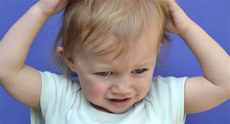 Head Lice In Toddlers Babycenter