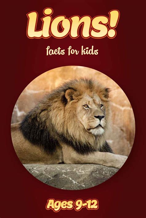 Lion Facts Kids Non Fiction Book Ages 9 12 Clouducated