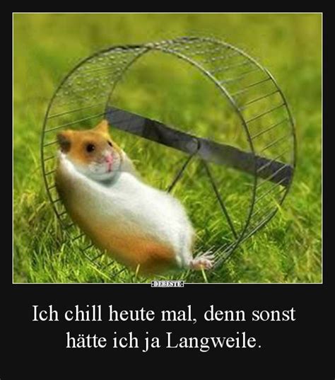 Der schwanz eines rosa panthers. Ich chill heute mal, denn sonst hätte ich ja Langweile ...