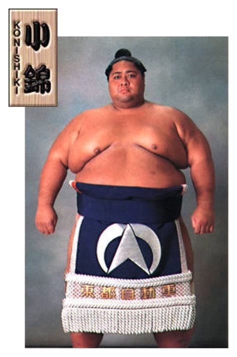 Heaviest Sumo Wrestler Ever Telegraph
