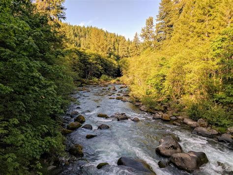 Troutrageous! Fly Fishing & Tenkara Blog: The Best Trout Stream in the ...