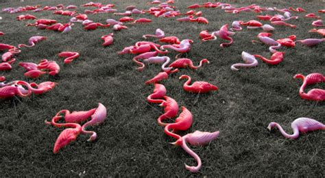 The following are the striking differences between pathogens and parasites: Difference Between Virus and Prion