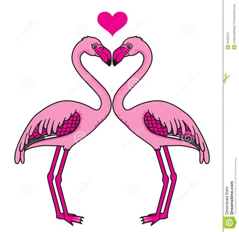 Two Pink Flamingos In Love Stock Vector Illustration Of Phoenicopterus