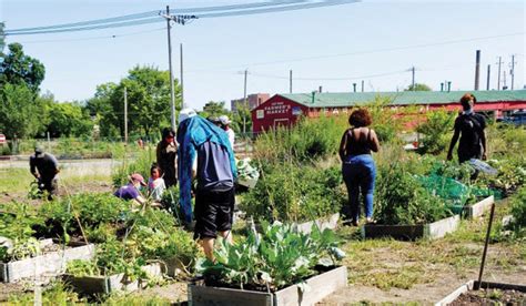 Community Gardens Offer Healthy Foods Connections Through Challenging
