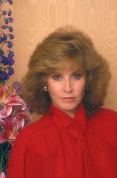 Stefanie Powers Pictures And Photos Stephanie Powers 80s Hair Powers