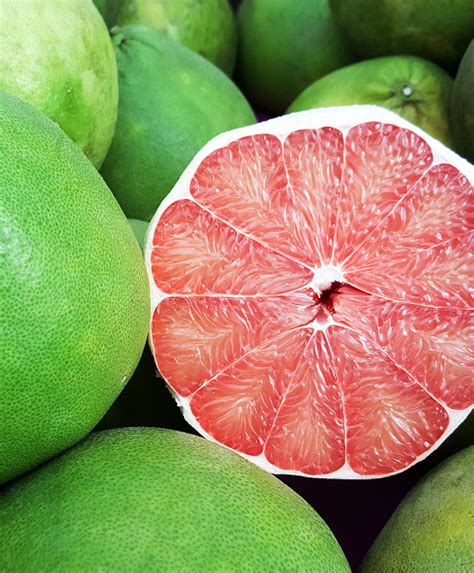 Pink Pomelo | Soular Therapy