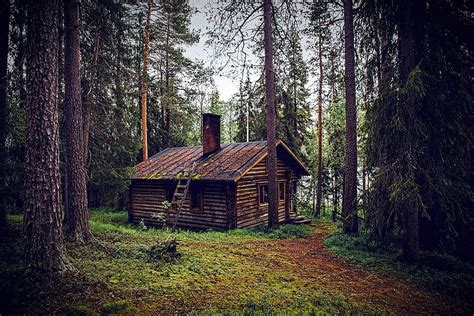 Hd Wallpaper Hut Forest Seefeld Log Cabin Nature Forest Lodge
