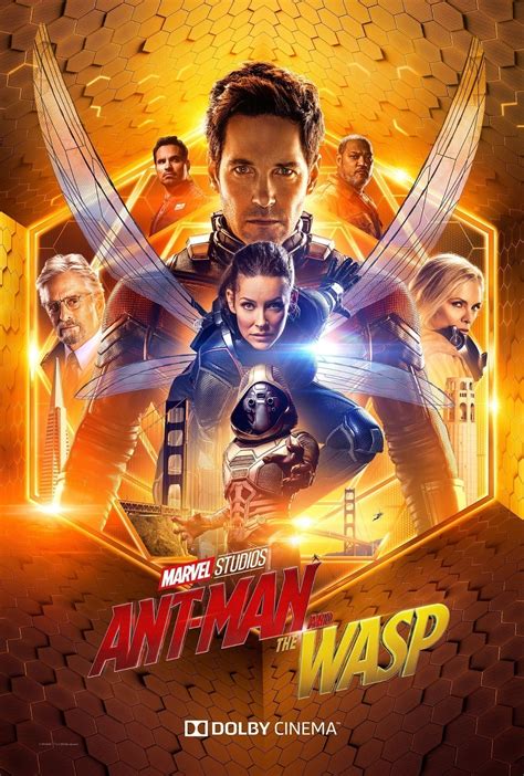I guess i am trying to appeal to both marvel fans and entomologist. Exclusive New Ant-Man and the Wasp Poster - IGN