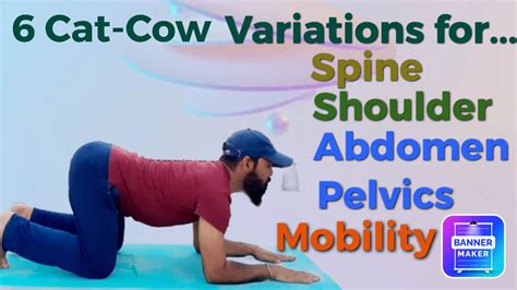 6 Cat Cow Variations For Spinal And Shoulder Mobility Yoga For Back