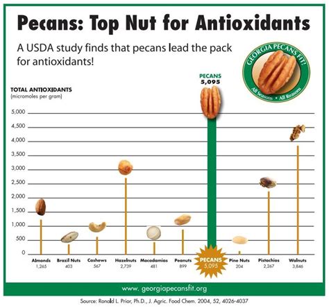 Well, you can look everything up in a. Pecan Nutrition Information - Helps Lower Cholesterol ...