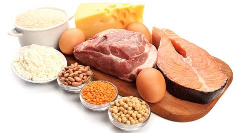 Quais Alimentos Mais Possuem Proteínas