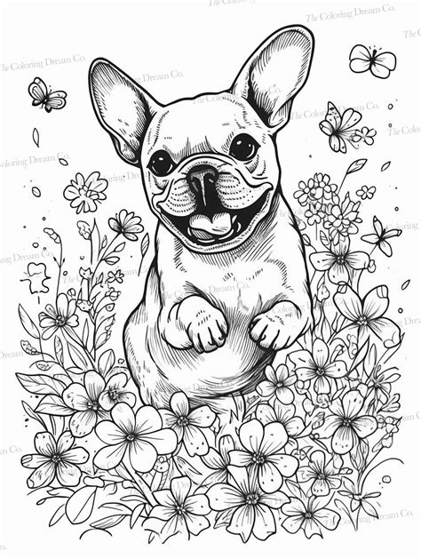 French Bulldog Coloring Book Frenchies Printable Coloring - Etsy