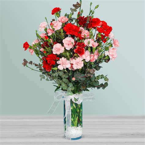 Send Flowers Turkey Red Carnations In Vase From 59usd