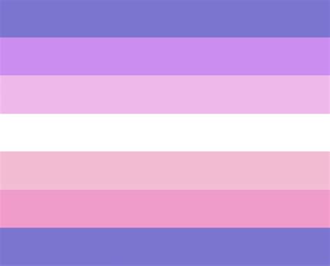Just Found This Trans Demigirl Flag 😳😳its So Petty D Rdemigirlirl