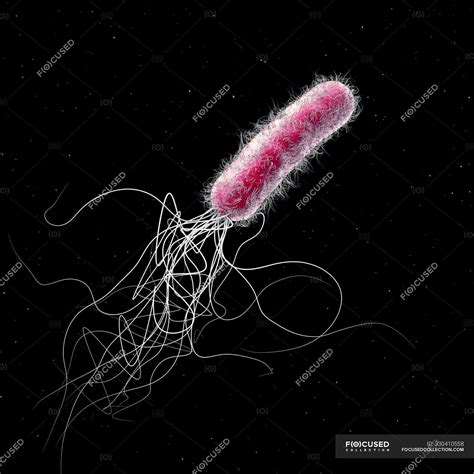 Antibiotic Resistant Pseudomonas Aeruginosa Bacterium Digital 3d