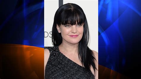 ‘ncis Actress Beaten By Homeless Man — ‘he Showed Me How He Was Going