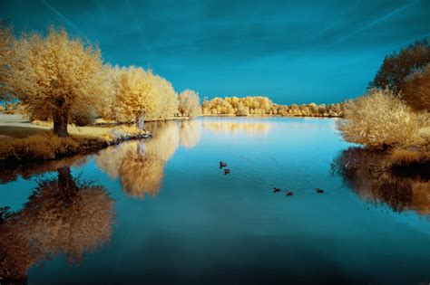 30 Beautiful Landscape Reflection Photos Images Photography Graphic