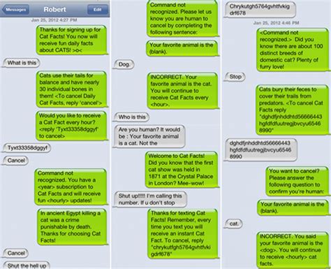 Ah Yes, the Ol' Cat Facts Text Subscription Prank - Geekologie