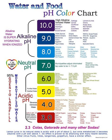 Water And Food Ph Color Chart Etsy Alkaline Foods Alkaline Foods Chart Food Charts