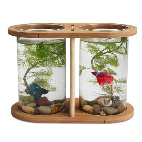 Cool Betta Fish Tanks 7 Best Betta Fish Tank What To Know Before