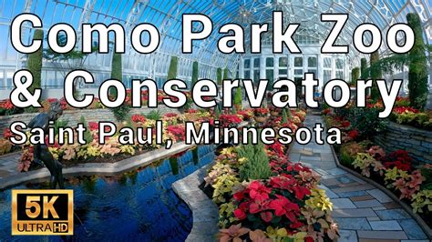 Como Park Zoo And Conservatory Walking Tour Saint Paul Minnesota 5k