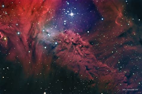 Astronomy Picture Of The Day The Fox Fur Nebula Nebula Astronomy