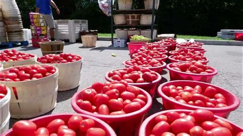 Exploring the Vibrant Farmers Market in Mississauga | Fresh Produce