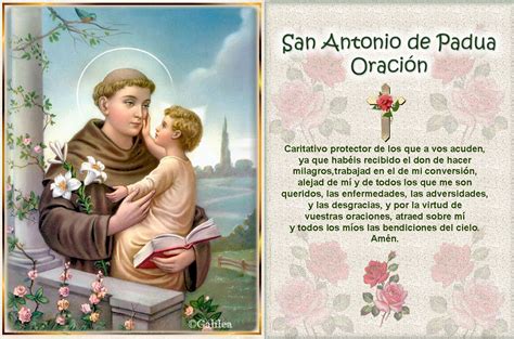 Testimonios Para Crecer Oración A San Antonio De Padua