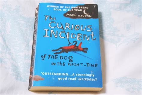 Becky Bedbug Book Review The Curious Incident Of The Dog In The Night