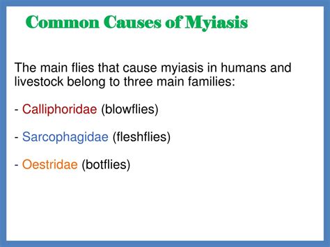 Ppt Myiasis Powerpoint Presentation Free Download Id8941250