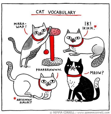 I Love Gemma Corrells Illustrations Gemma Correll Cat Crazy Cat Lady