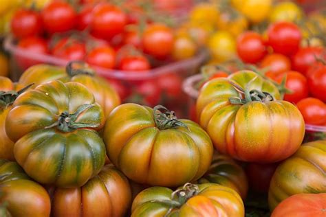 7 Types Of Tomatoes And How To Use Each Of Them