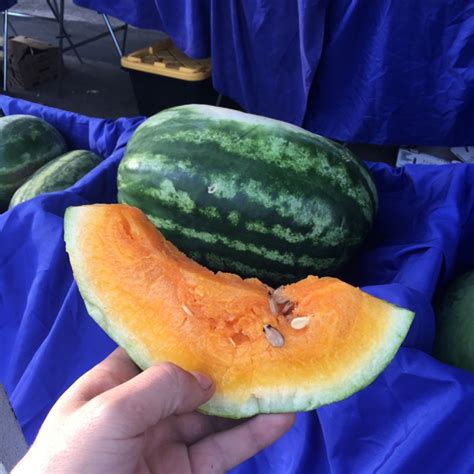 Orange Watermelon Information Recipes And Facts