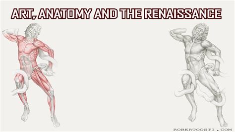 Renaissance Anatomy