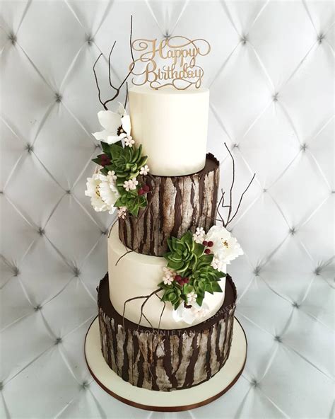 Modern Rustic Wedding Cake Succulents White Bark