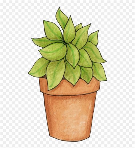 Clipart Potted Plant 10 Free Cliparts Download Images On Clipground 2024