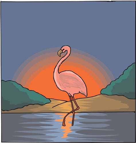 Download Free Photo Of Flamingowaterpinkskybird From