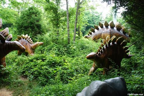 In the time before dinosaurs, there were organisms like bacteria, algae, and amoeba. Dinosaur World Review by Justin Dietz | A Review of ...