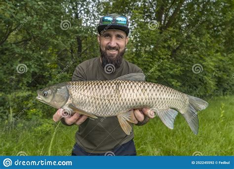 Grass Carp Fishing Bearded Fisherman With White Amur Fish Stock Photo