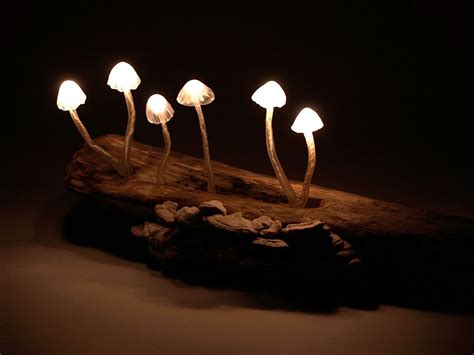 Mushroom Led Lamp By Great Mushrooming Yukio Takano Mushroom Lights