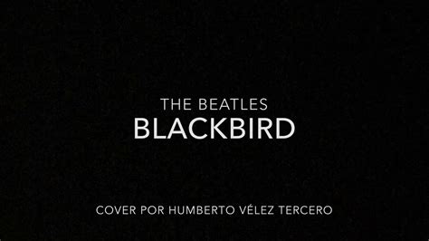 The Beatles Blackbird Cover Youtube