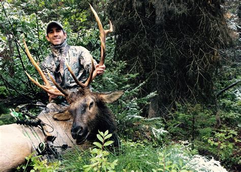 Missoula Hunter Josh Stewart Tells His Successful Solo Elk Hunt